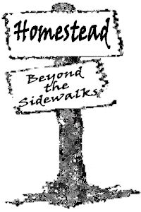 Beyond the Sidewalks